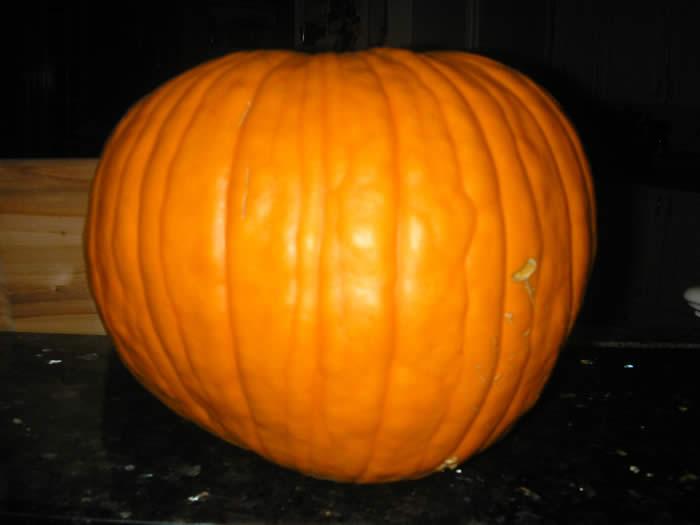 Steve's Pumpkin